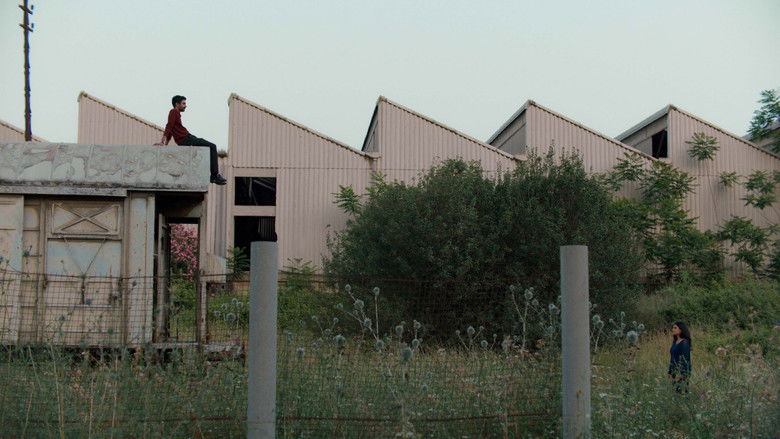 Image d'arrière-plan 2 du film Un monde fragile et merveilleux