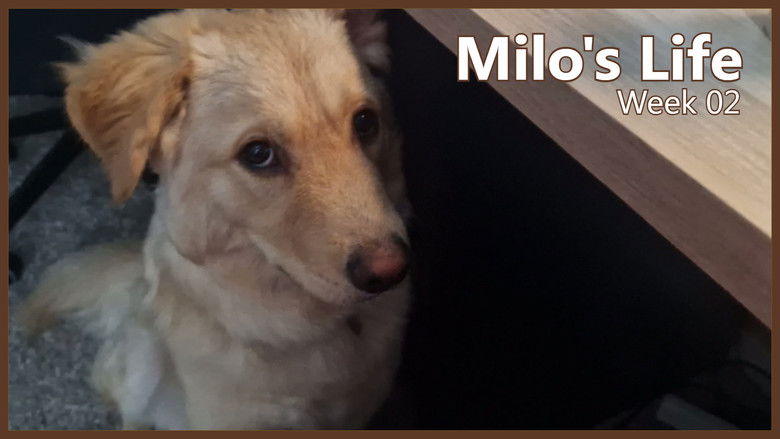 Still image for Milo's Life season 1 episode 2: One Braincell Left | Week 02 Still image for Milo's Life season 1 episode 2: One Braincell Left | Week 02