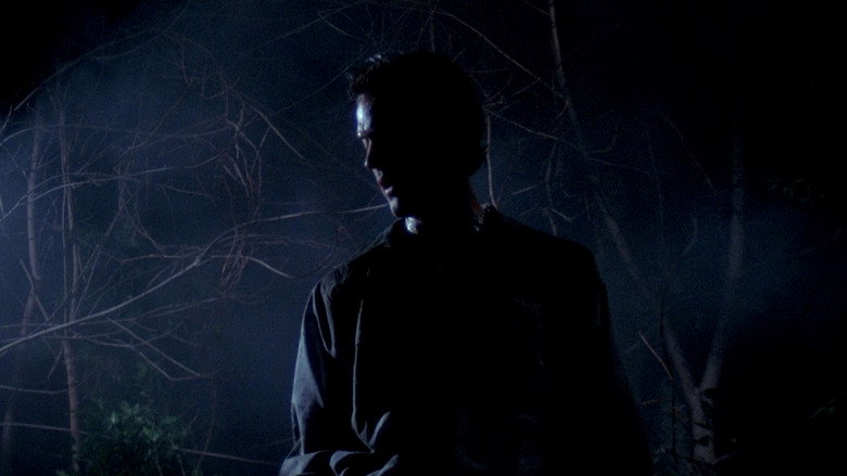 Film backdrop
