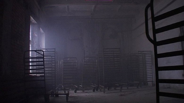 Gallery image from kLrxe3G2EOu18pDHVEms7yfCwdf.jpg