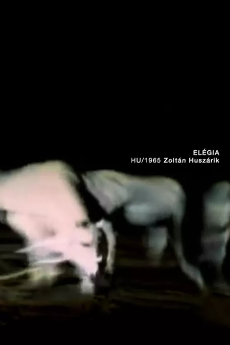Elegy main poster