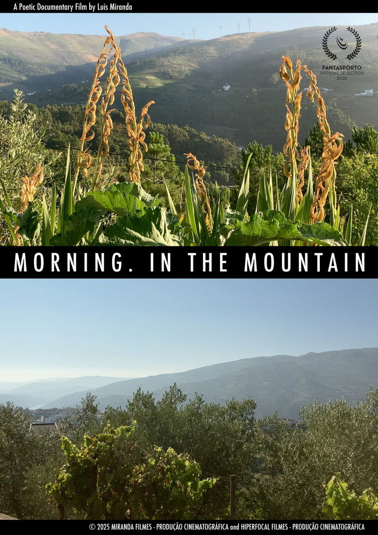 Morning, in the Mountains