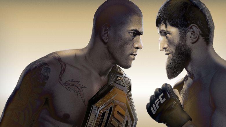 UFC 313: Pereira vs. Ankalaev main backdrop