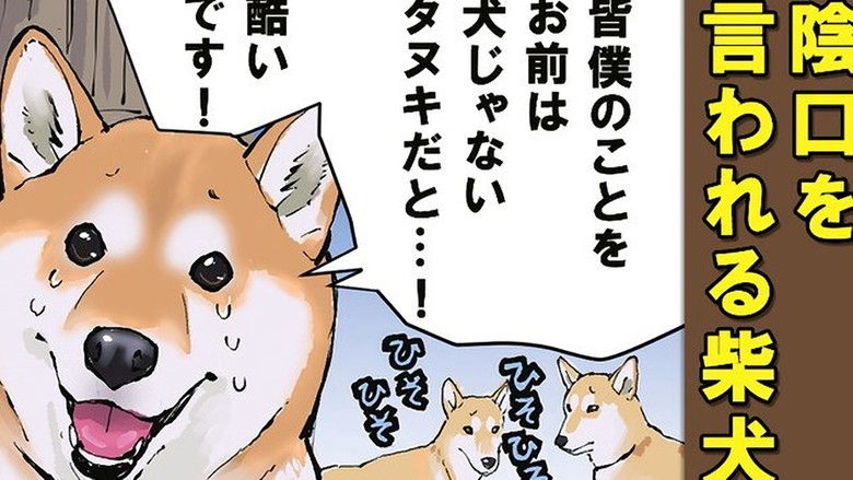 Still image for Doomsday with My Dog season 1 episode 63: Origins / An Avant-Garde Pair / Be Your Canine Self Still image for Doomsday with My Dog season 1 episode 63: Origins / An Avant-Garde Pair / Be Your Canine Self