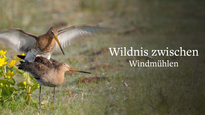 Wildlife in Windmill Country Screenshot 1