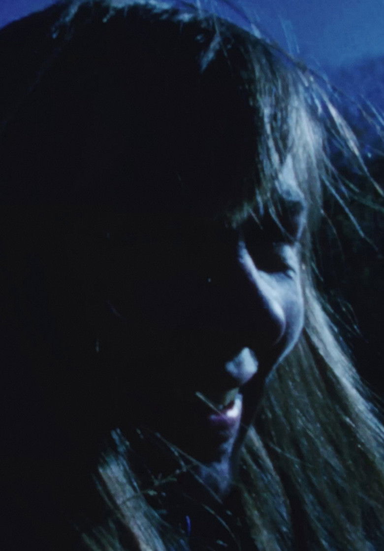 Imatge de Swimming Stone