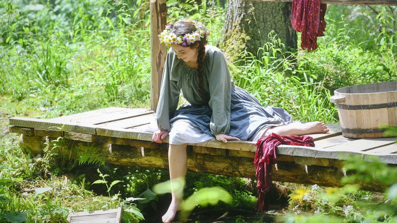 Image d'arrière-plan 3 du film Tri zlaté dukáty