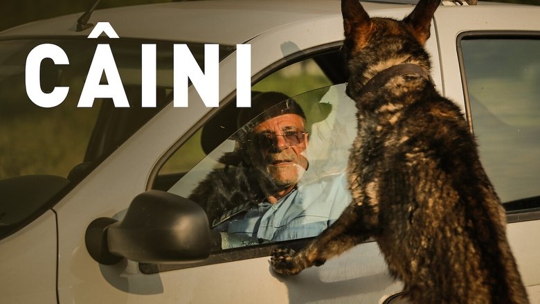 Gallery image from kNy6ZKI49w0WyPyNCIliVsoW9QD.jpg