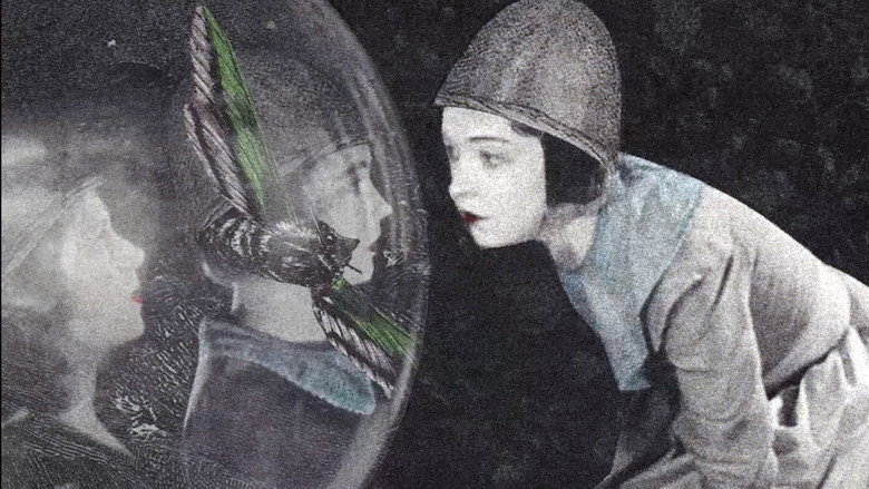 Imatge de The Stars Watch From Long Ago