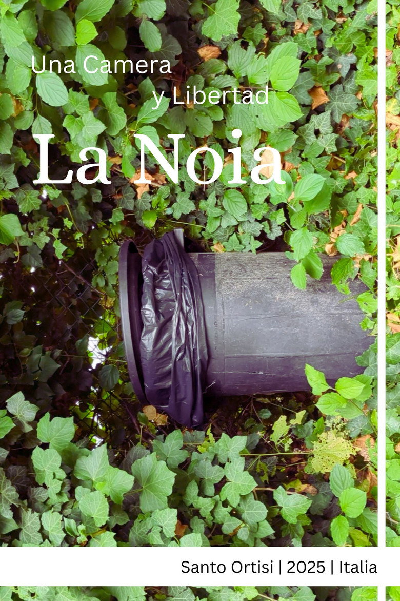 La noia