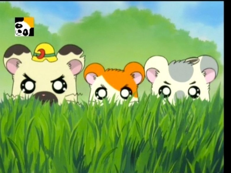Still image for Hamtaro season 1 episode 59: In A Pinch A Rival Appears Still image for Hamtaro season 1 episode 59: In A Pinch A Rival Appears