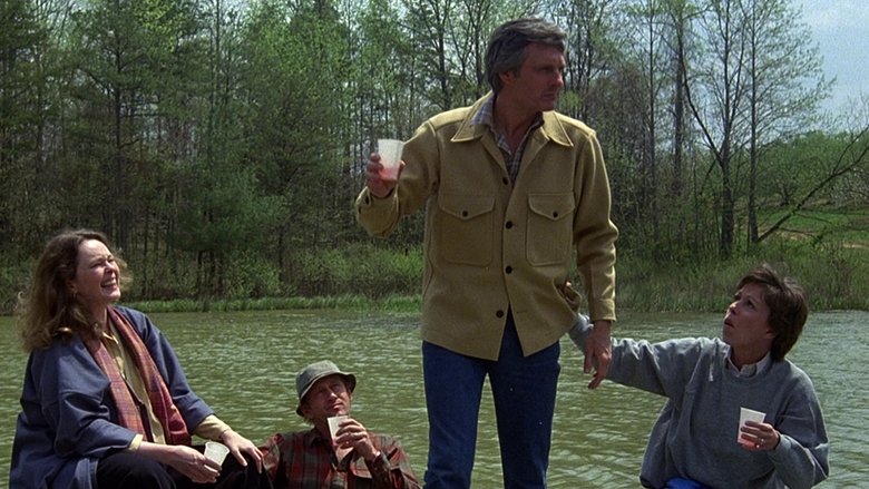 The Four Seasons (1981)