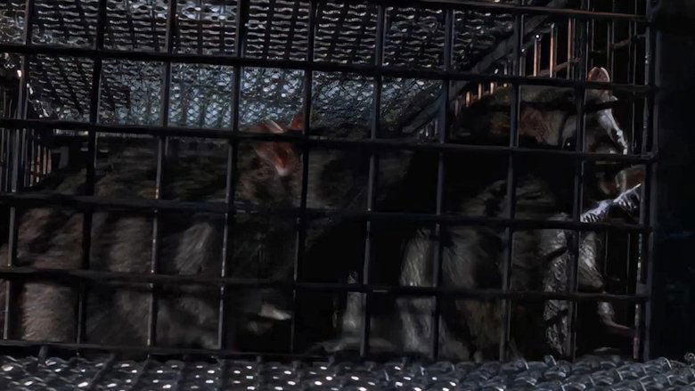 Still image for La Femme Nikita season 1 episode 17: War Still image for La Femme Nikita season 1 episode 17: War