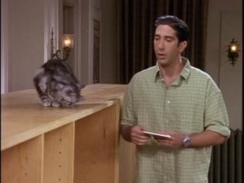 watch friends season 4 episode 4 watch friends season 4 episode 4