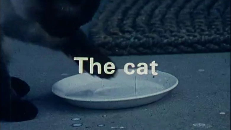 Gallery image from kP07Pjoc4etdlIErvn451lIVjiC.jpg