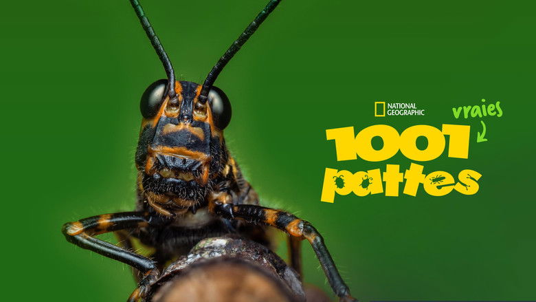 Gallery image from kPMkC6QZjIcmLx9eR0bMaKvgJ5g.jpg