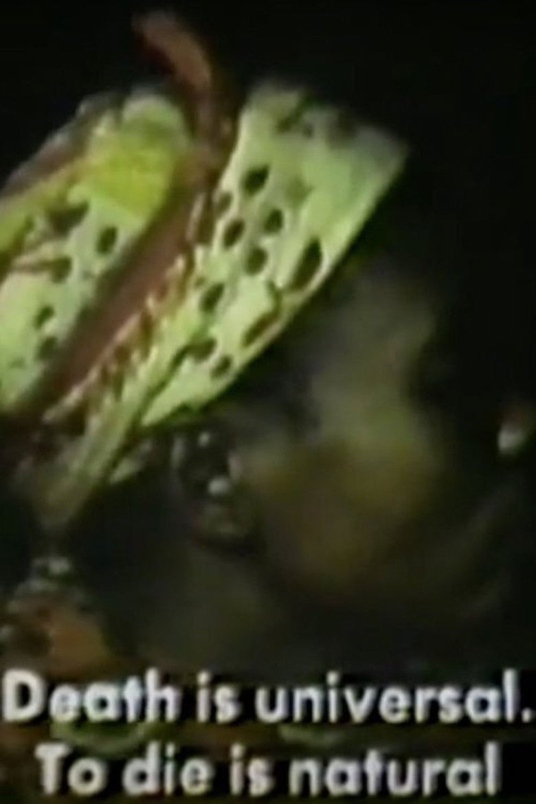 Imatge de La chapelle