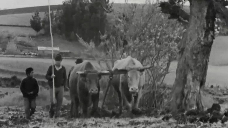 Gallery image from kQPwVm9B47rTWmOEYiNCdCetuUw.jpg