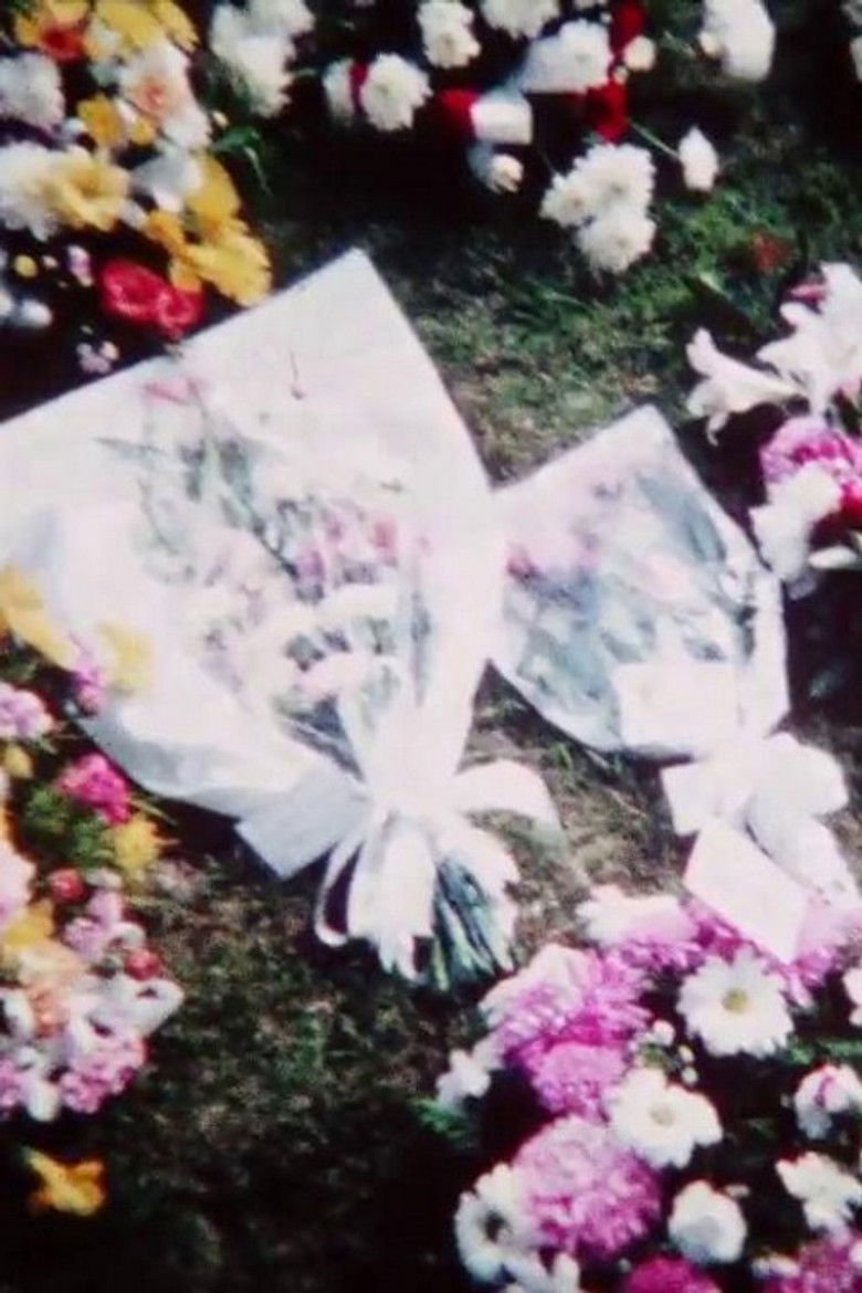 Imatge de Living Memory