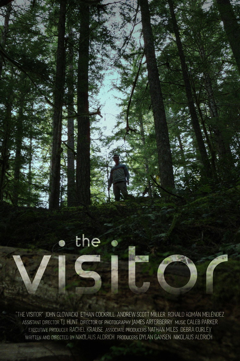 Imatge de The Visitor