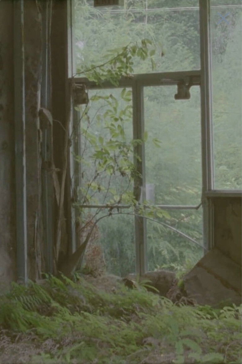 Imatge de Ocean Falls