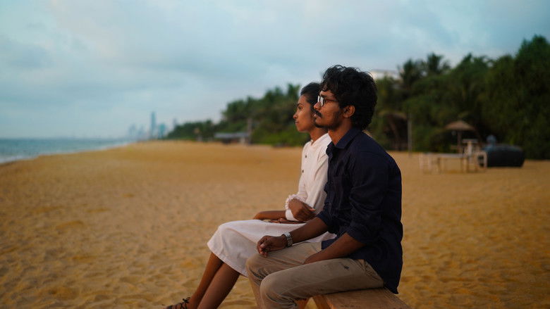 Gallery image from kRQJYkbErKU4vTxiufMi6olQGTO.jpg