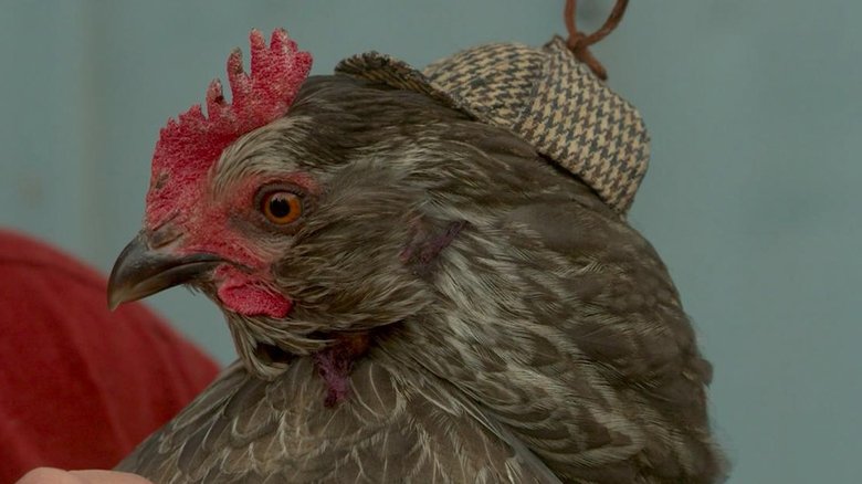 Gallery image from kSAAd59H7hj9RYLkX60m7zVY4KF.jpg