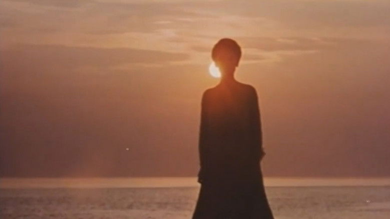 Gallery image from kSIiJhtiX1L4dHHoawk7BIp2OAY.jpg