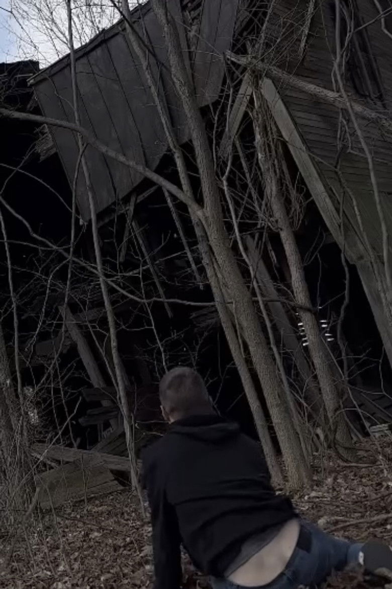 Imatge de Beneath the Canopy