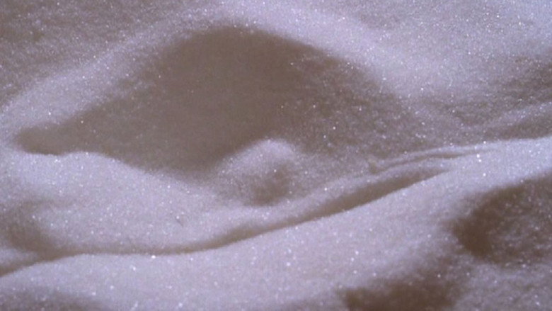 Image d'arrière-plan 11 du film Sweet Movie