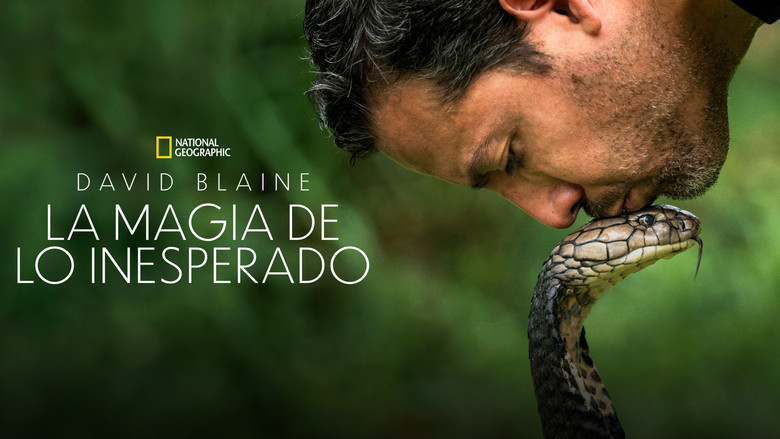 Gallery image from kUIbReWB8RejJ3y1LYSHL0ly6D2.jpg