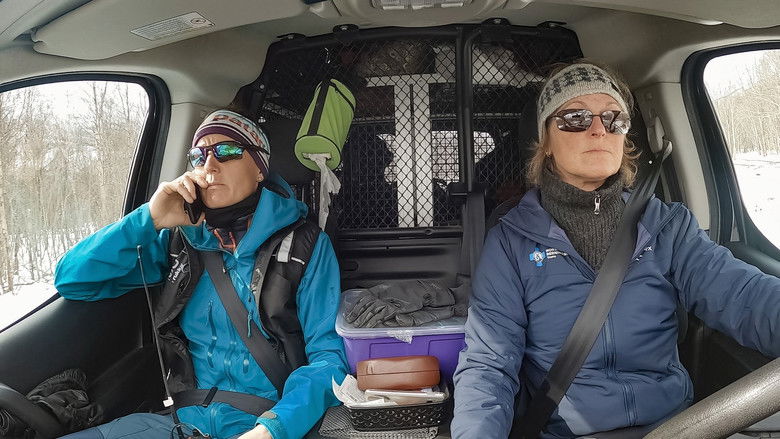 Still image for Redningshundene season 1 episode 5: Taken by avalanche