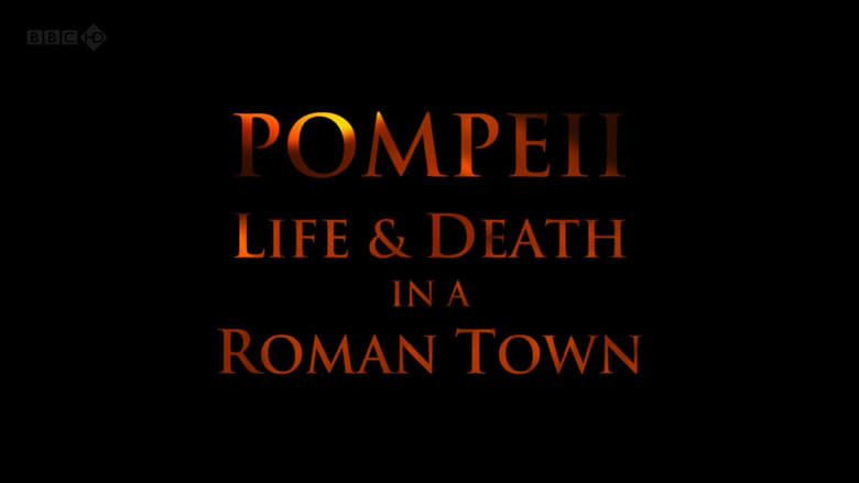 Pompeii: Life and Death in a Roman Town movie poster