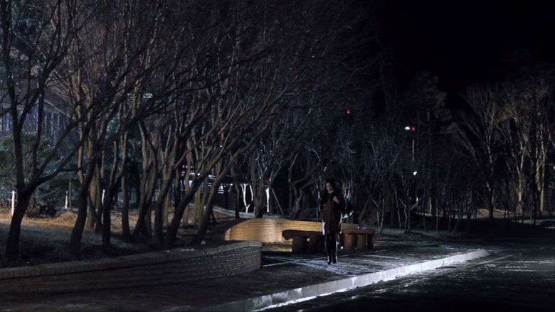 A Late Night (2012)