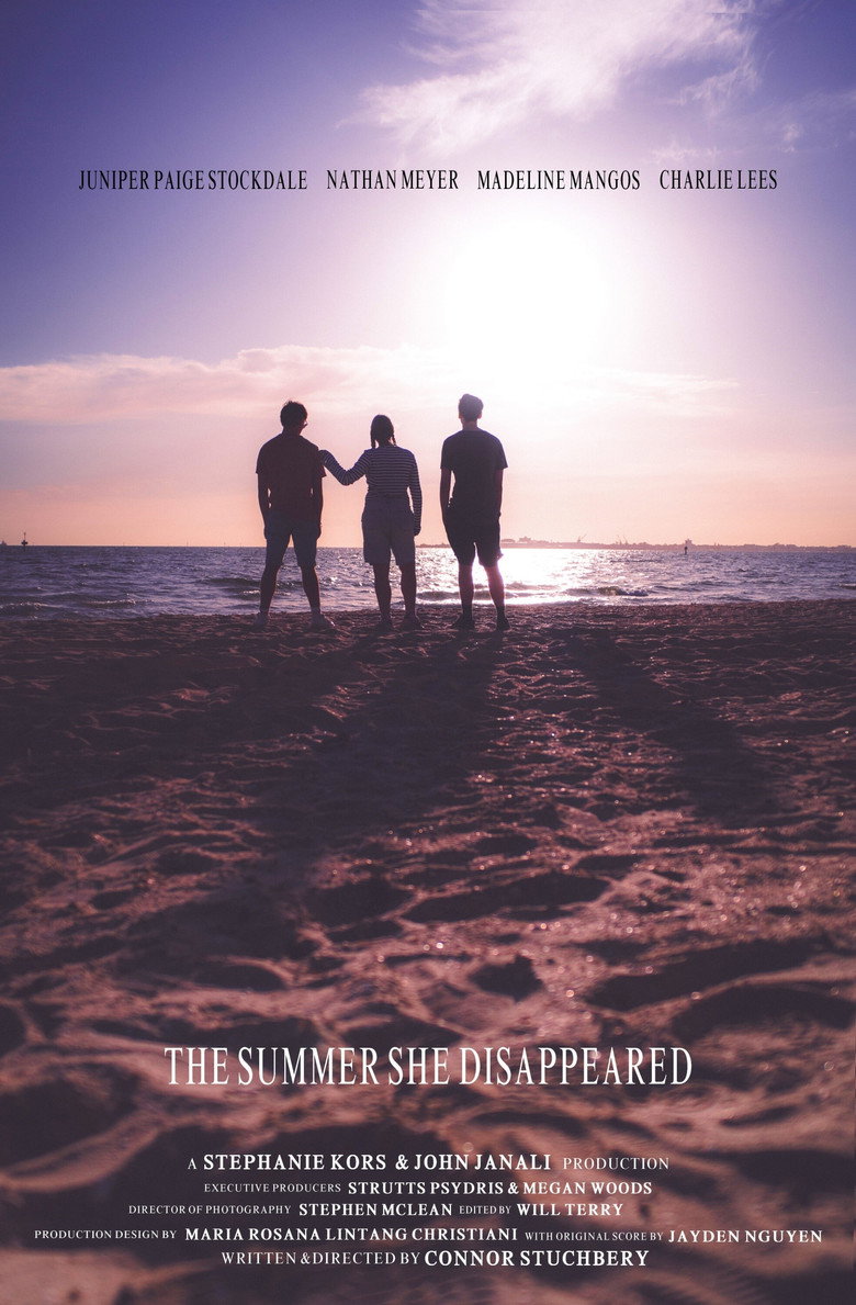 Imatge de The Summer She Disappeared