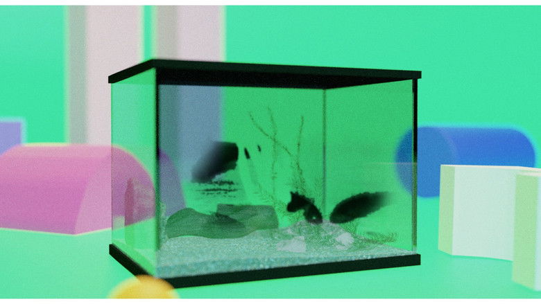 Imatge de 流动的泥土与其他