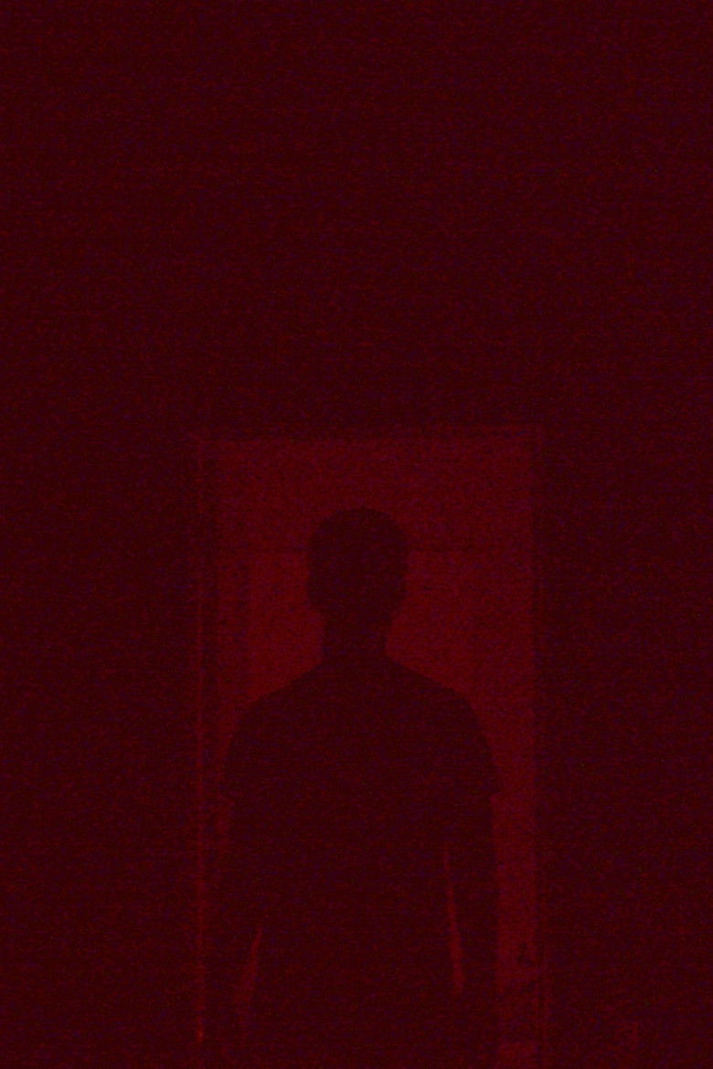 Imatge de THE SKITTERING