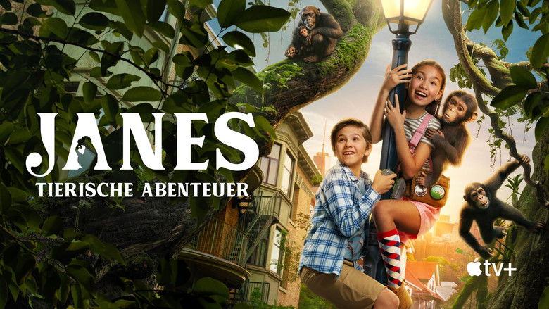 Gallery image from kWkNj4OXFSeqr8v2FvgtkcgVDFU.jpg