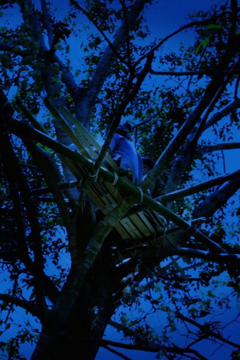 Forest Spirit background