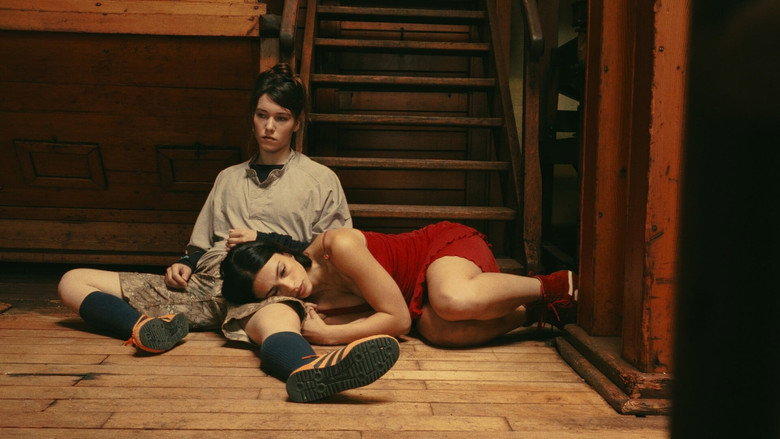 Backdrop 2