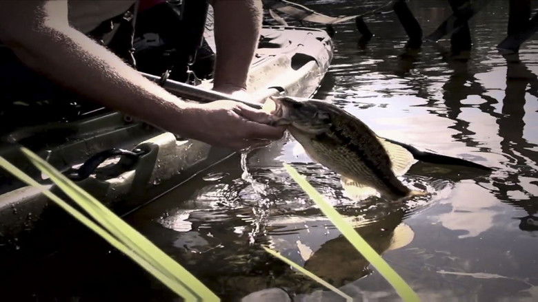 Still image for Lone Star Law season 1 episode 11: Busted