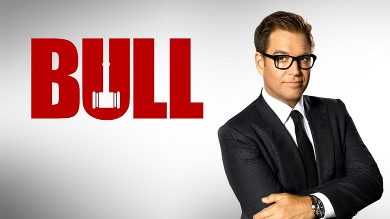 Bull (2016)