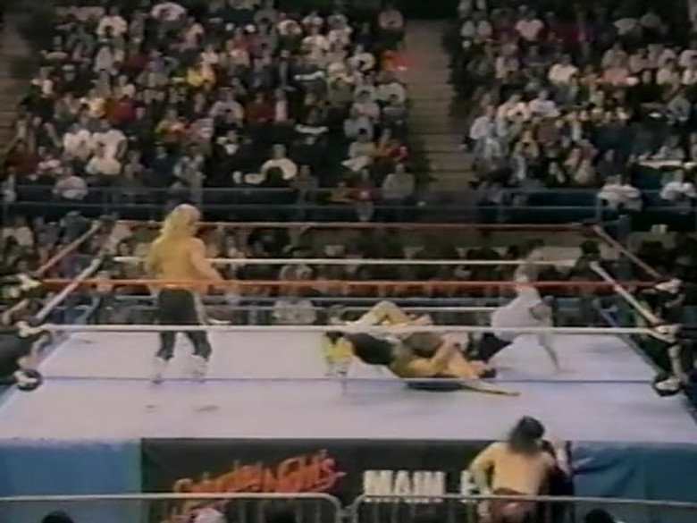 S03E47 – November 19, 1988 - Superstars of Wrestling 116