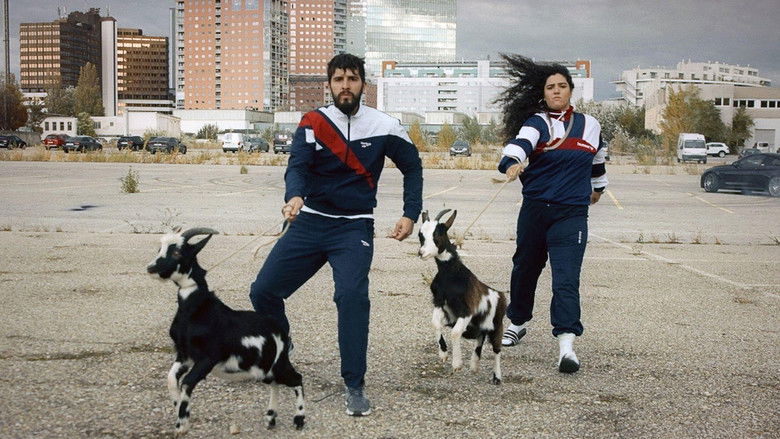 Gallery image from kY2JV6mjU0FbeNGvdwee7YcFfdA.jpg