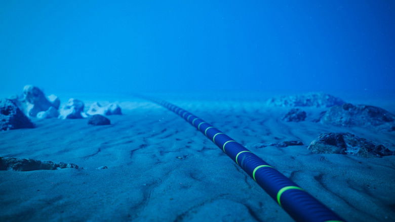 Les c&acirc;bles sous-marins : Les art&egrave;res d'Internet