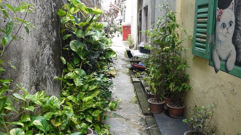 Gallery image from kYSZCLwxb38ks0WOGvar1eFsoaS.jpg