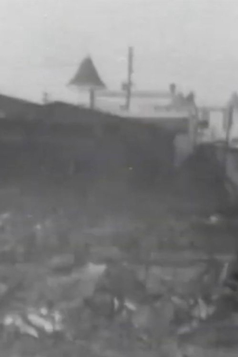 The Great Fire Ruins, Coney Island