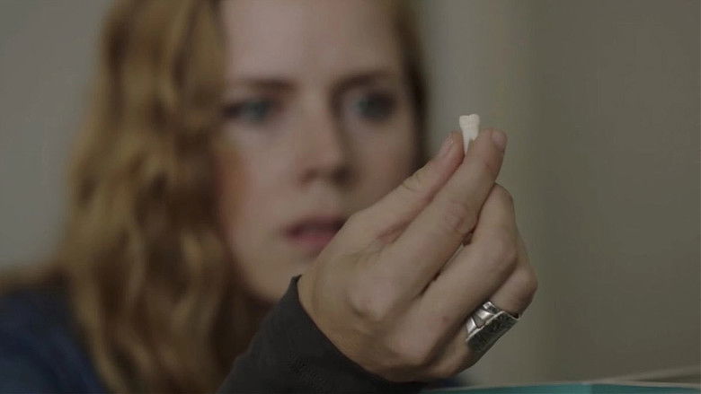 Kzjhzrh9f5b7eez3zxacx2gm8m7