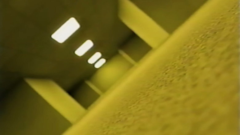 Backrooms 3