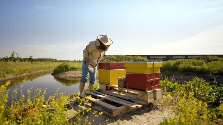 Still image for Droomdorp season 1 episode 2: Vruchtbare grond Still image for Droomdorp season 1 episode 2: Vruchtbare grond